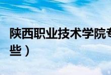 陜西職業(yè)技術學院專業(yè)排名（最好的專業(yè)有哪些）