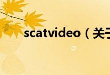 scatvideo（關于scatvideo的介紹）
