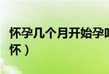 懷孕幾個(gè)月開始孕吐反應(yīng)(懷孕幾個(gè)月開始顯懷)