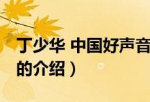 丁少華 中國(guó)好聲音（關(guān)于丁少華 中國(guó)好聲音的介紹）