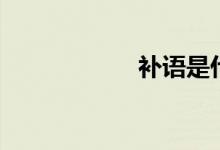補(bǔ)語(yǔ)是什么（補(bǔ)語(yǔ)）