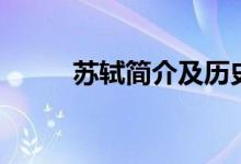 蘇軾簡介及歷史評(píng)價(jià)（蘇軾簡介）