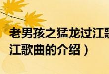 老男孩之猛龍過(guò)江歌曲（關(guān)于老男孩之猛龍過(guò)江歌曲的介紹）