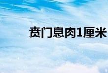 賁門(mén)息肉1厘米（什么是賁門(mén)息肉）