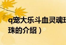 q寵大樂斗血靈魂珠（關于q寵大樂斗血靈魂珠的介紹）