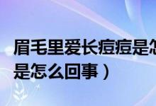 眉毛里愛長(zhǎng)痘痘是怎么回事（眉毛里面長(zhǎng)痘痘是怎么回事）
