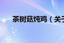 茶樹(shù)菇燉雞(關(guān)于茶樹(shù)菇燉雞的介紹)