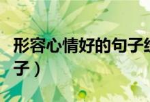 形容心情好的句子經典唯美（形容心情好的句子）