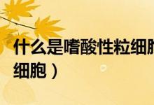 什么是嗜酸性粒細(xì)胞絕對(duì)值（什么是嗜酸性粒細(xì)胞）