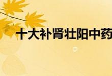 十大補(bǔ)腎壯陽中藥（幾大補(bǔ)腎壯陽中藥）
