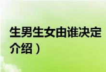 生男生女由誰(shuí)決定（關(guān)于生男生女由誰(shuí)決定的介紹）
