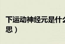 下運(yùn)動(dòng)神經(jīng)元是什么病(下運(yùn)動(dòng)神經(jīng)元什么意思)