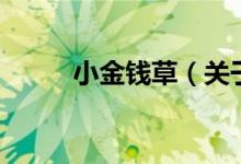小金錢(qián)草（關(guān)于小金錢(qián)草的介紹）