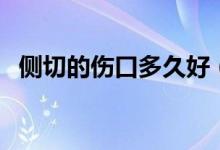 側切的傷口多久好（側切的傷口多久能好）