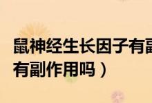 鼠神經(jīng)生長(zhǎng)因子有副作用嗎（鼠神經(jīng)生長(zhǎng)因子有副作用嗎）