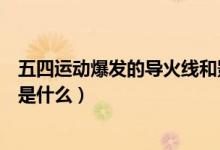 五四運(yùn)動爆發(fā)的導(dǎo)火線和影響（導(dǎo)致五四運(yùn)動爆發(fā)的導(dǎo)火線是什么）
