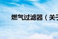 燃?xì)膺^(guò)濾器（關(guān)于燃?xì)膺^(guò)濾器的介紹）