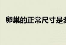 卵巢的正常尺寸是多少（卵巢的正常大?。?class=