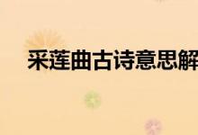 采蓮曲古詩(shī)意思解釋?zhuān)ú缮徢旁?shī)意思）