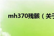 mh370殘?。P(guān)于mh370殘骸的介紹）