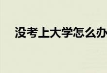 沒(méi)考上大學(xué)怎么辦（有幾種方式上大學(xué)）