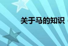 關(guān)于馬的知識（關(guān)于馬的手抄報）