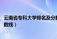 云南省?？拼髮W(xué)排名及分數(shù)線（2022云南?？拼髮W(xué)排名及分數(shù)線）