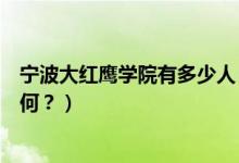 寧波大紅鷹學(xué)院有多少人（寧波大紅鷹學(xué)院怎么樣？評(píng)價(jià)如何？）