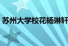 蘇州大學(xué)校花楊琳軒（蘇州大學(xué)?；n雨嘉）