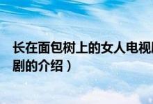 長在面包樹上的女人電視?。P(guān)于長在面包樹上的女人電視劇的介紹）