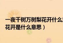 一夜千樹(shù)萬(wàn)樹(shù)梨花開(kāi)什么意思（忽如一夜春風(fēng)來(lái)千樹(shù)萬(wàn)樹(shù)梨花開(kāi)是什么意思）