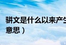 駢文是什么以來(lái)產(chǎn)生的一種文體（駢文是什么意思）