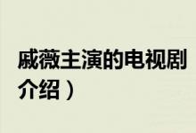 戚薇主演的電視劇（關(guān)于戚薇主演的電視劇的介紹）