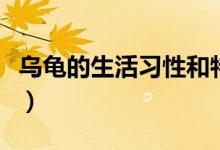 烏龜?shù)纳盍?xí)性和特點(diǎn)作文（烏龜?shù)纳盍?xí)性）