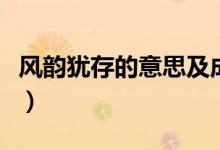 風(fēng)韻猶存的意思及成語解釋（風(fēng)韻猶存的意思）
