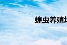 蝗蟲(chóng)養(yǎng)殖場(chǎng)（蝗蟲(chóng)養(yǎng)殖）