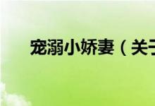 寵溺小嬌妻（關于寵溺小嬌妻的介紹）