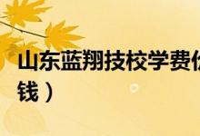 山東藍翔技校學(xué)費價格表（藍翔技校學(xué)費多少錢）