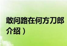 敢問(wèn)路在何方刀郎（關(guān)于敢問(wèn)路在何方刀郎的介紹）
