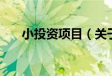小投資項目（關(guān)于小投資項目的介紹）
