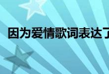 因?yàn)閻?ài)情歌詞表達(dá)了什么（因?yàn)閻?ài)情 歌詞）