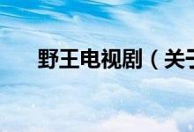 野王電視?。P(guān)于野王電視劇的介紹）