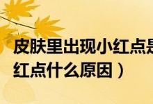 皮膚里出現(xiàn)小紅點是怎么回事（皮膚上面有小紅點什么原因）