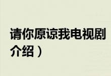 請你原諒我電視?。P(guān)于請你原諒我電視劇的介紹）
