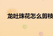 龍吐珠花怎么剪枝才能開(kāi)花（龍吐珠花）