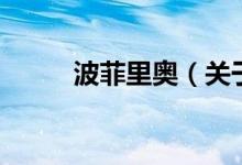 波菲里奧（關于波菲里奧的介紹）