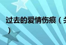 過(guò)去的愛(ài)情傷痕(關(guān)于過(guò)去的愛(ài)情傷痕的介紹)