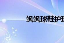 颯颯球鞋護理(颯颯的意思)