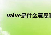 valve是什么意思?。╲alve是什么意思）