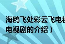海鷗飛處彩云飛電視?。P(guān)于海鷗飛處彩云飛電視劇的介紹）